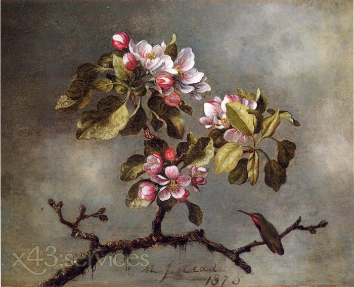 Martin Johnson Heade - Apfelblueten und Kolibri - Apple Blossoms and Hummingbird 1 - zum Schließen ins Bild klicken